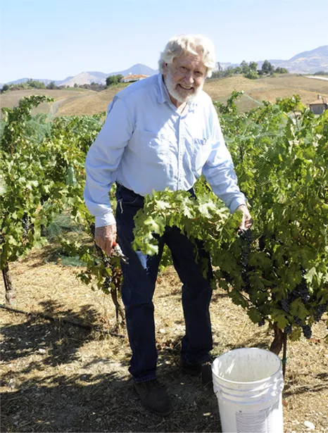 winemaker among the vines