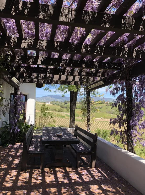 lilies over wooden pergola