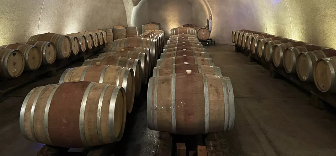 barrels rows in the winery